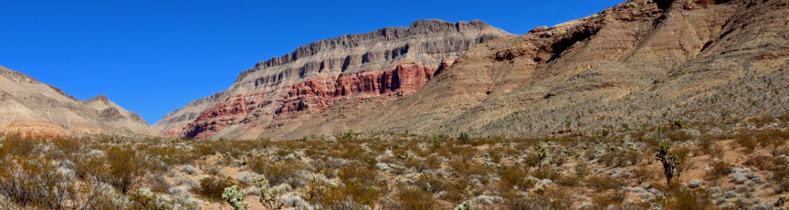 Virgin River Gorge in AZ