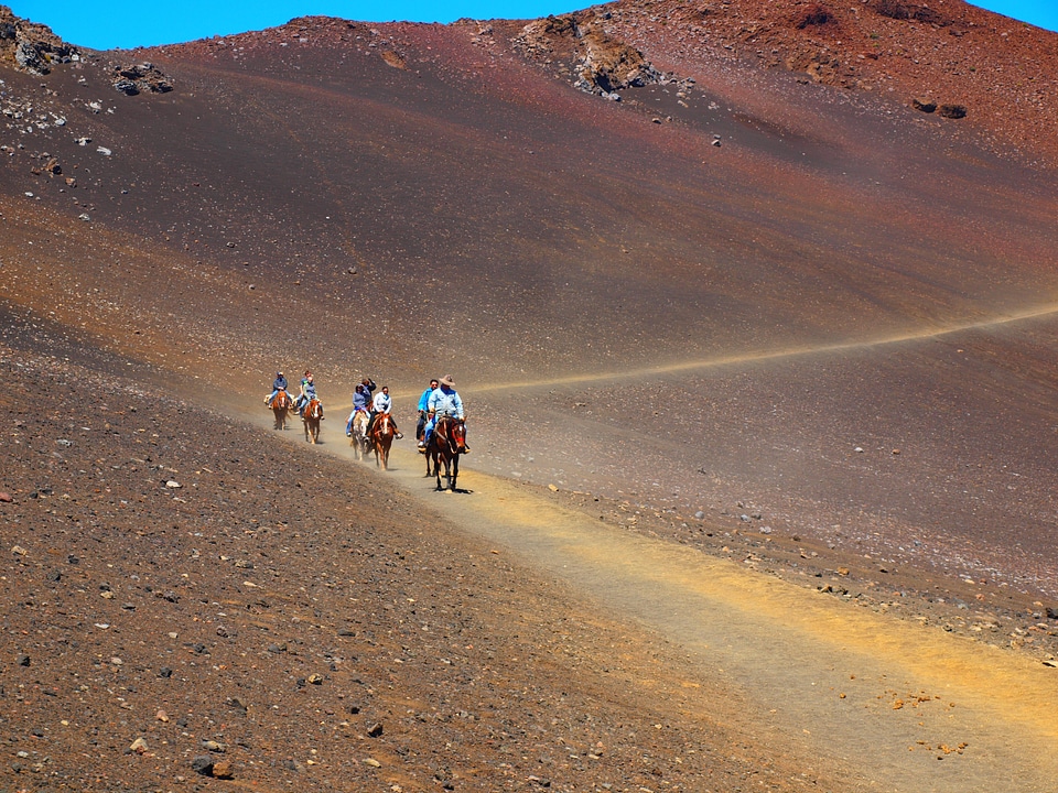 Volcano crater horses