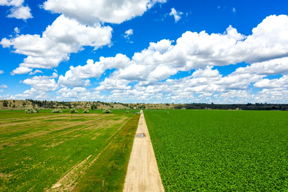 Jgibson Day6 0116 DJI 0789