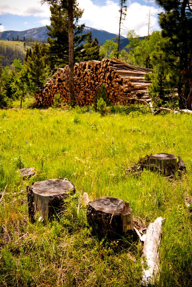 1028 NRCS projects