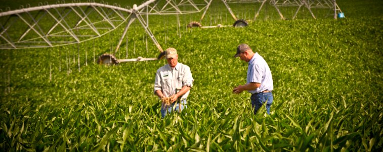 6624 NRCS projects.jpg