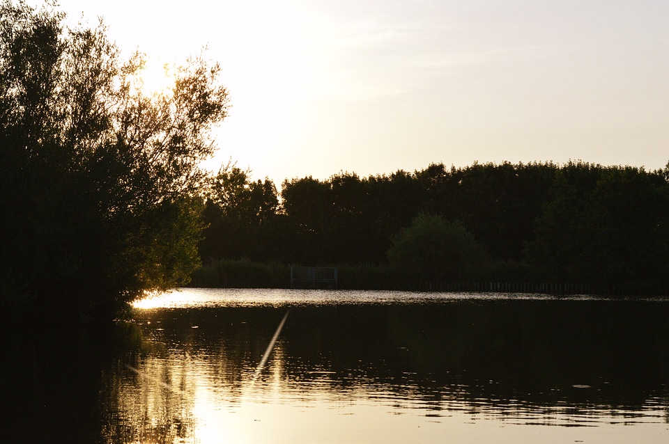 Sun down golden landscape