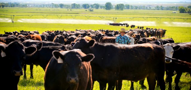 1231 NRCS projects
