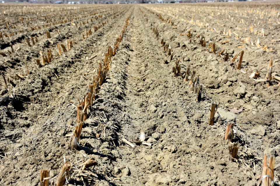 conservationtillage40