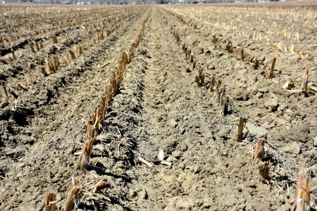 conservationtillage40