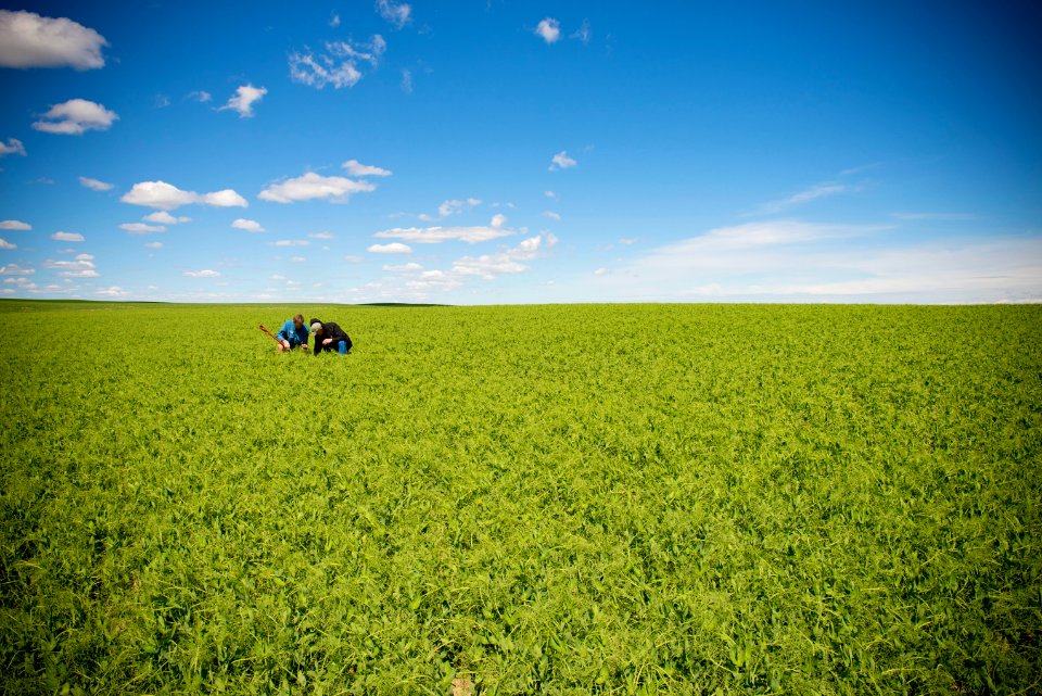 5190 NRCS projects