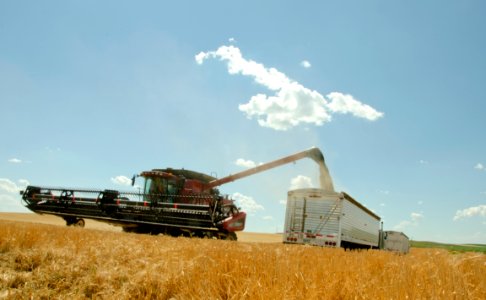 Harvest NR 08 photo