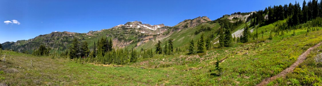 Goat Rocks Wilderness in WA