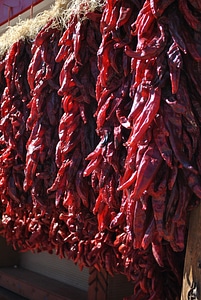 New mexico roadside stand market
