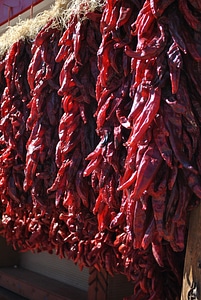 New mexico roadside stand market photo