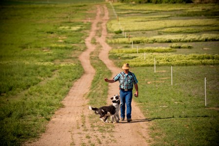 1181 NRCS projects