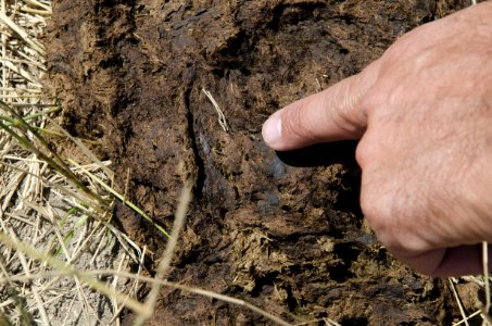 Manure Management NR 10 photo