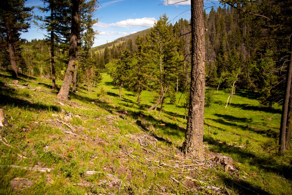 1118 NRCS projects