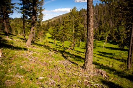 1118 NRCS projects