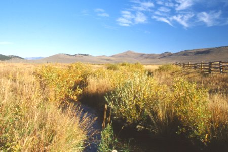 Riparian72.tif