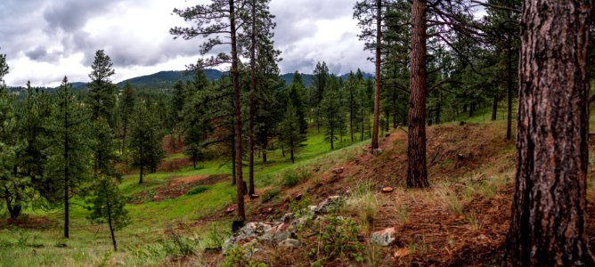 Jgibson Day4 0047  DSC8367-Pano