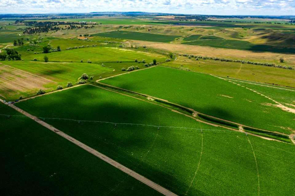 Jgibson Day6 0129 DJI 0803