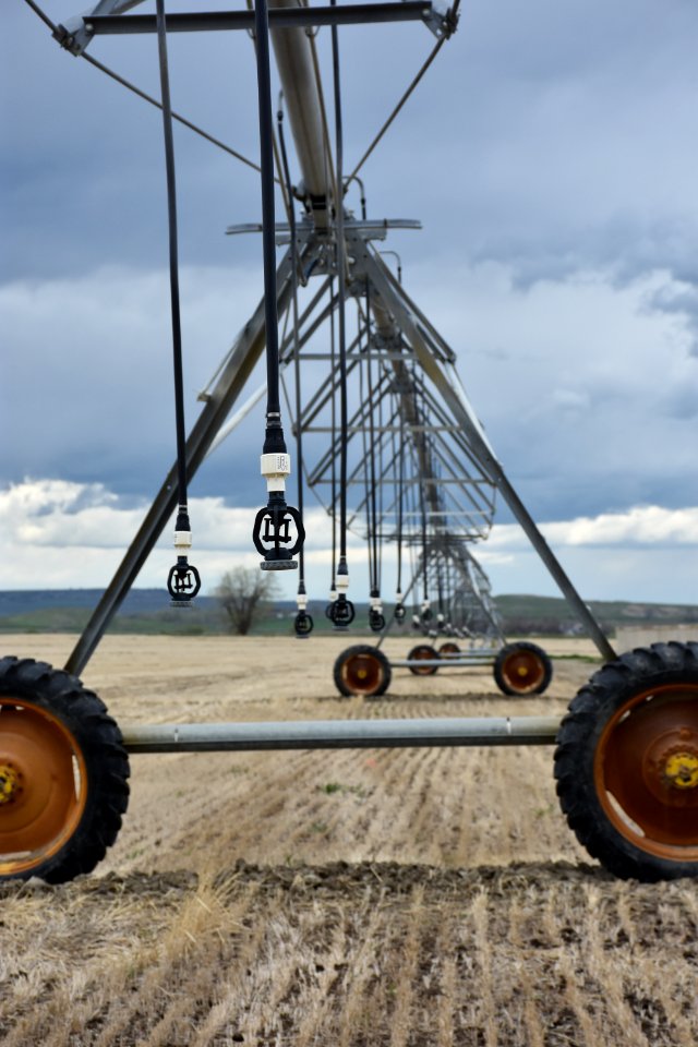 irrigation96