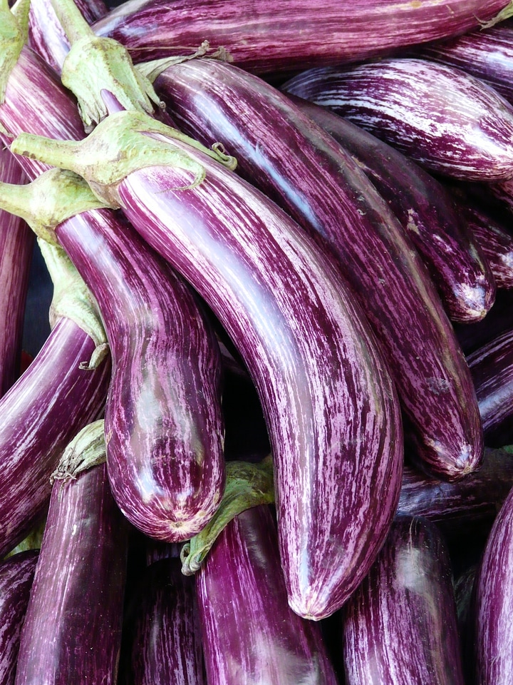 Violet striped solanum melongena