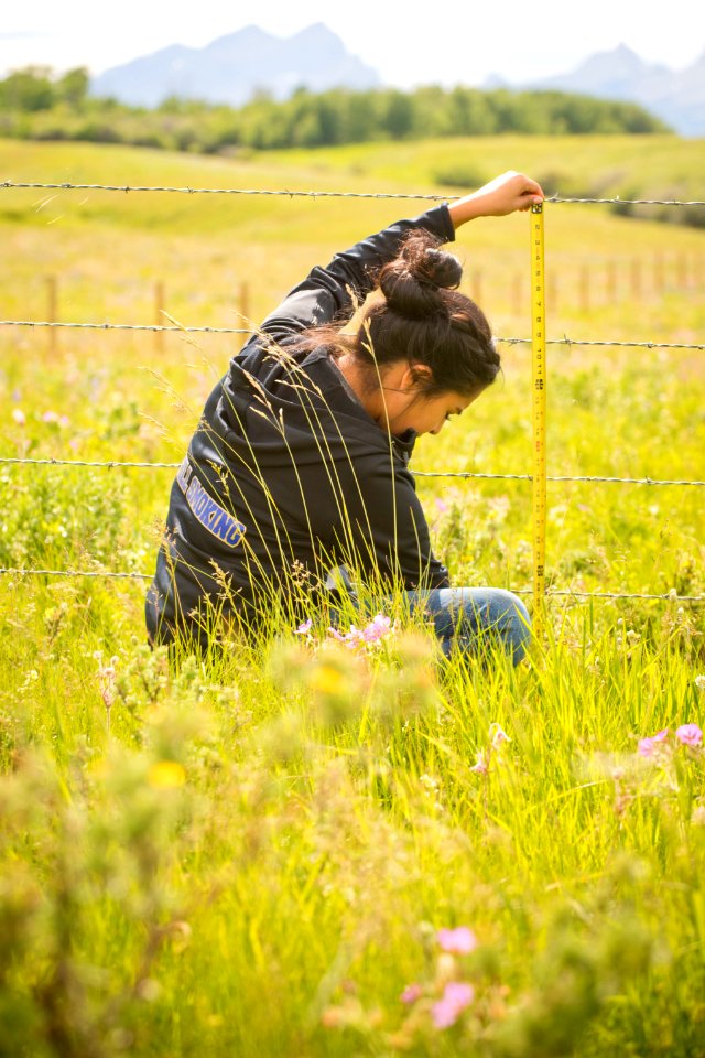 5378 NRCS projects