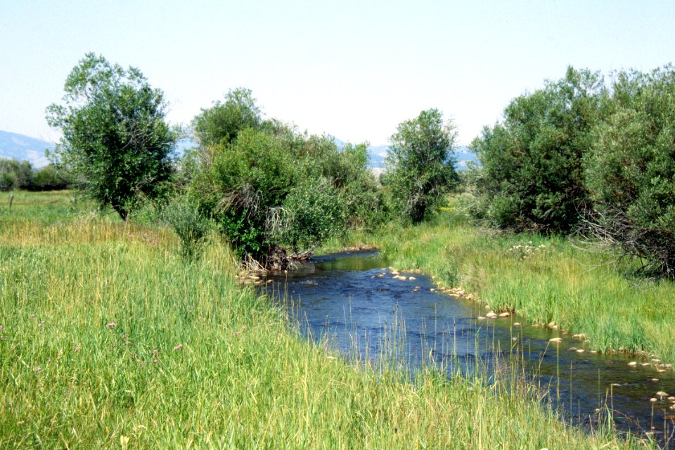 Wetlands27.tif