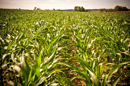 6692 NRCS projects.jpg