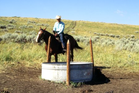 Rangeland68.tif photo