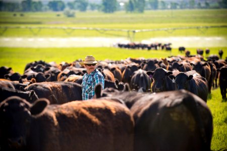 1214 NRCS projects