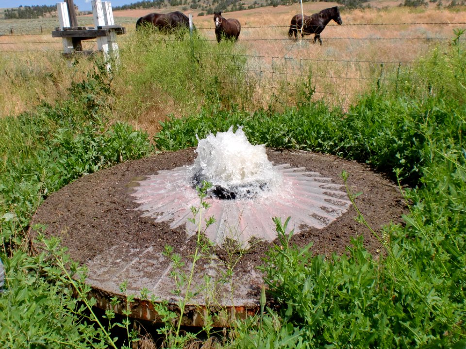 Irrigation66