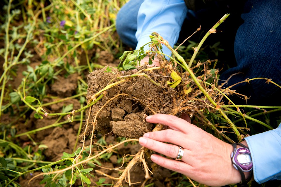 3034 NRCS projects
