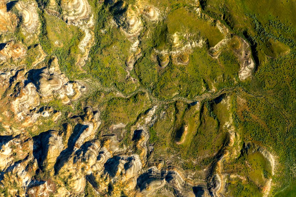 Jgibson Day8 0109 DJI 0961