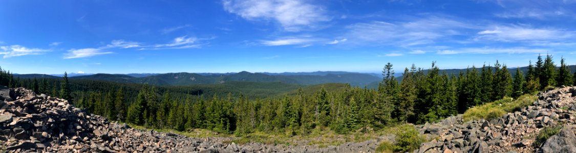 Mt. Hood National Forest in OR