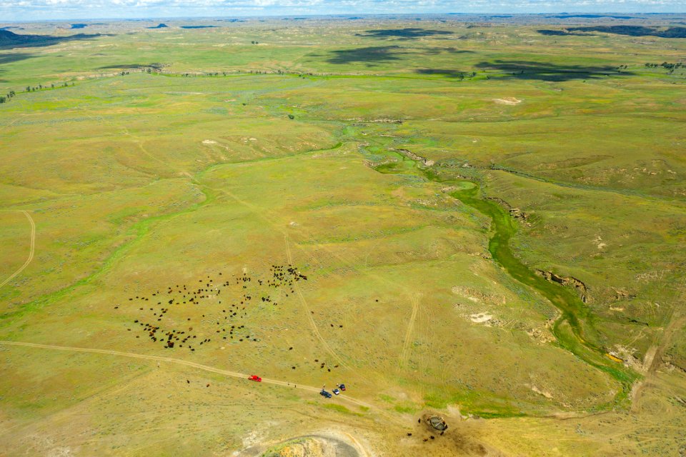 Jgibson Day9 0034 DJI 0984