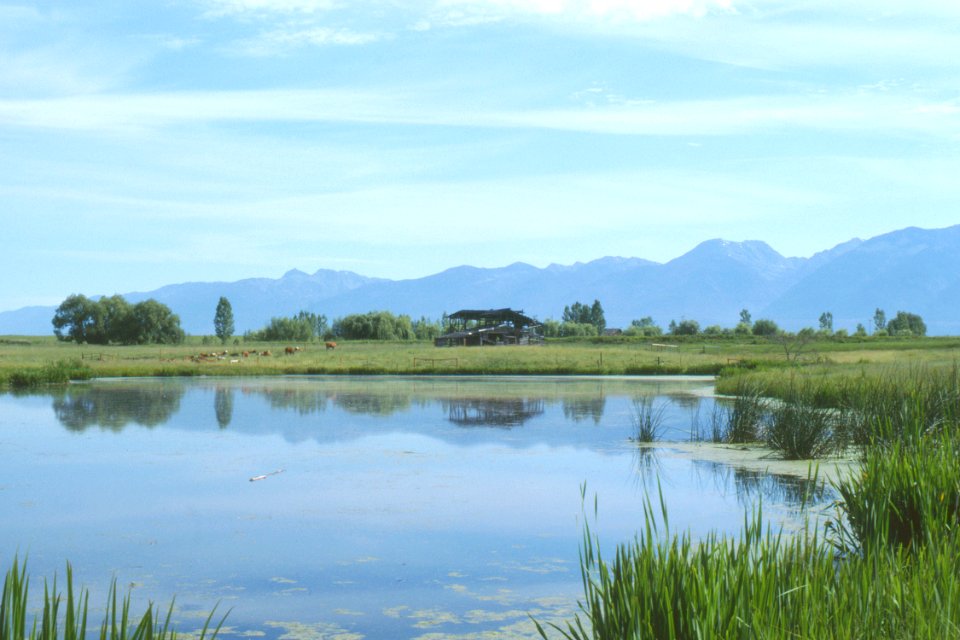 Wetlands11.tif