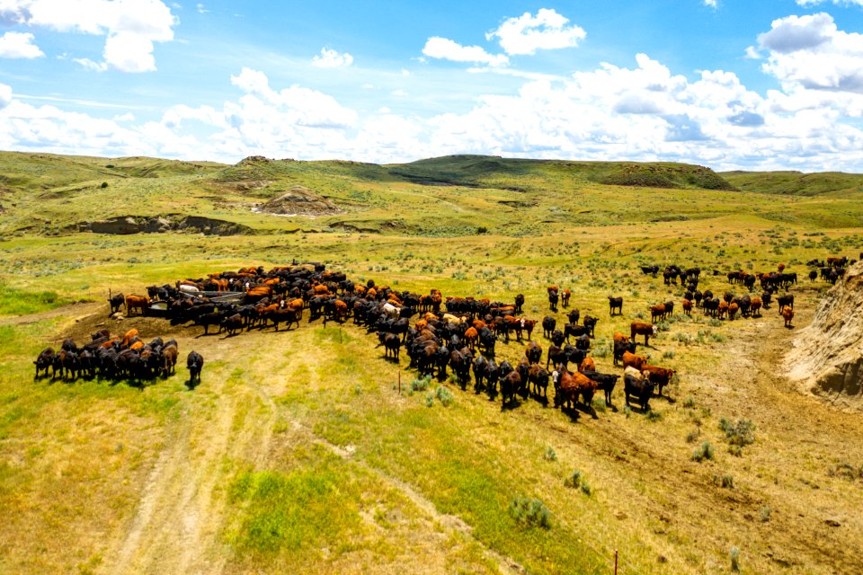 Jgibson Day9 0021 DJI 0964