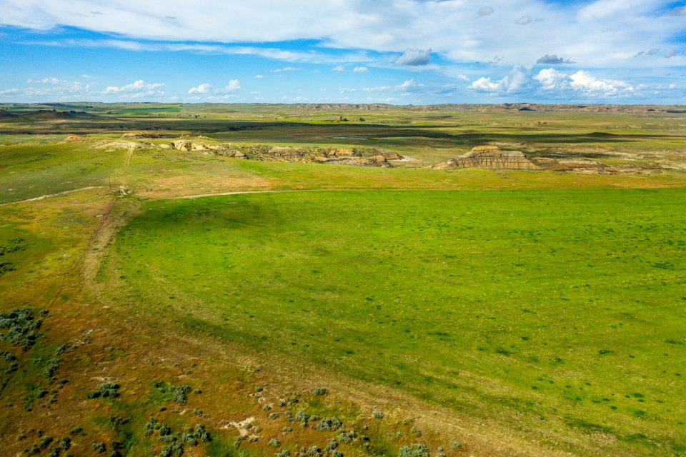 Jgibson Day9 0082 DJI 0999