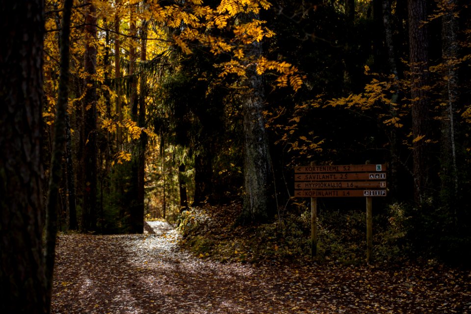 Liesjärven kansallispuisto, Härkätie, Finland