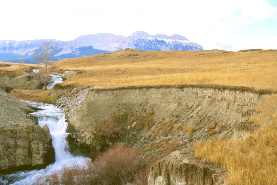 Riparian53.tif