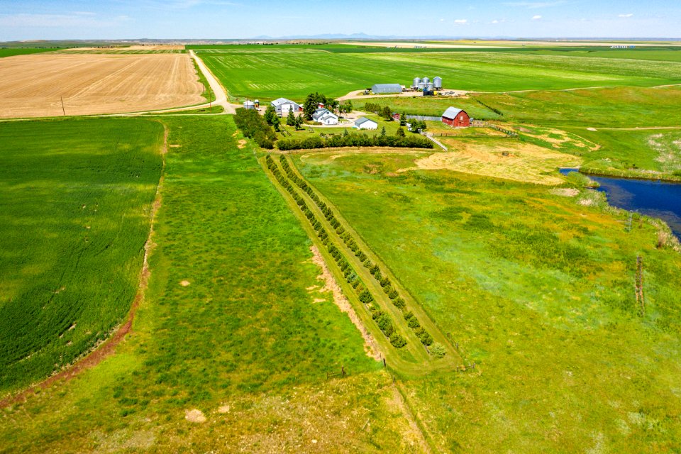 Jgibson Day10 0115 DJI 0068