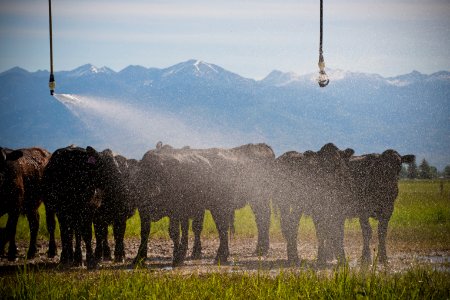 1290 NRCS projects
