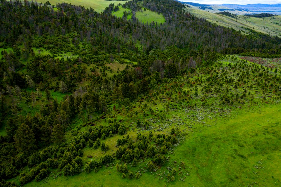 Jgibson Day3 0072 DJI 0651