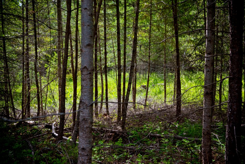 2872 NRCS projects