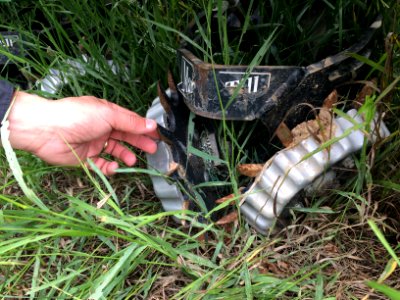 conservationtillage151