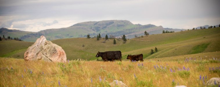 3479 NRCS projects