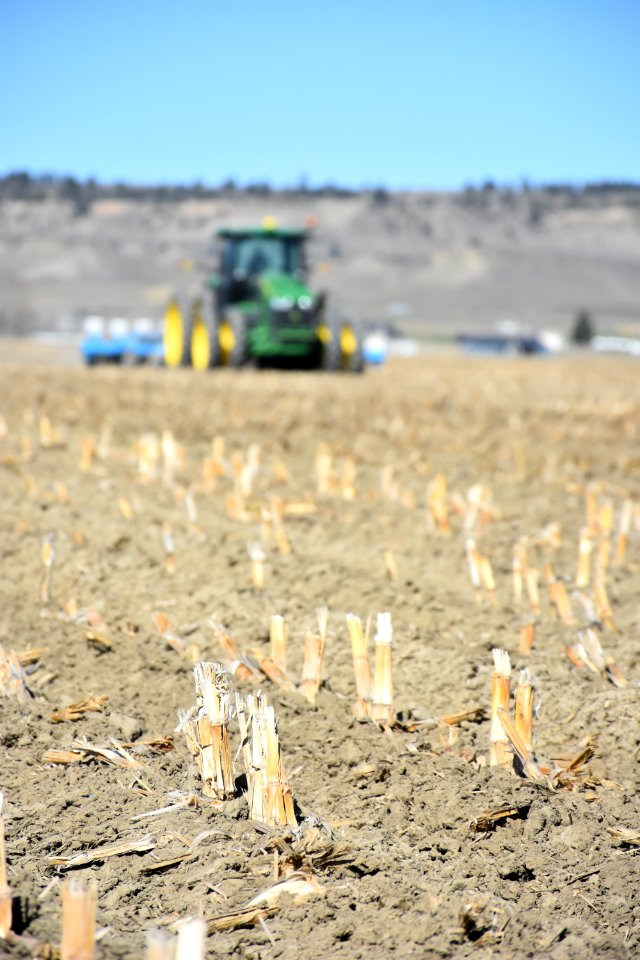 conservationtillage28