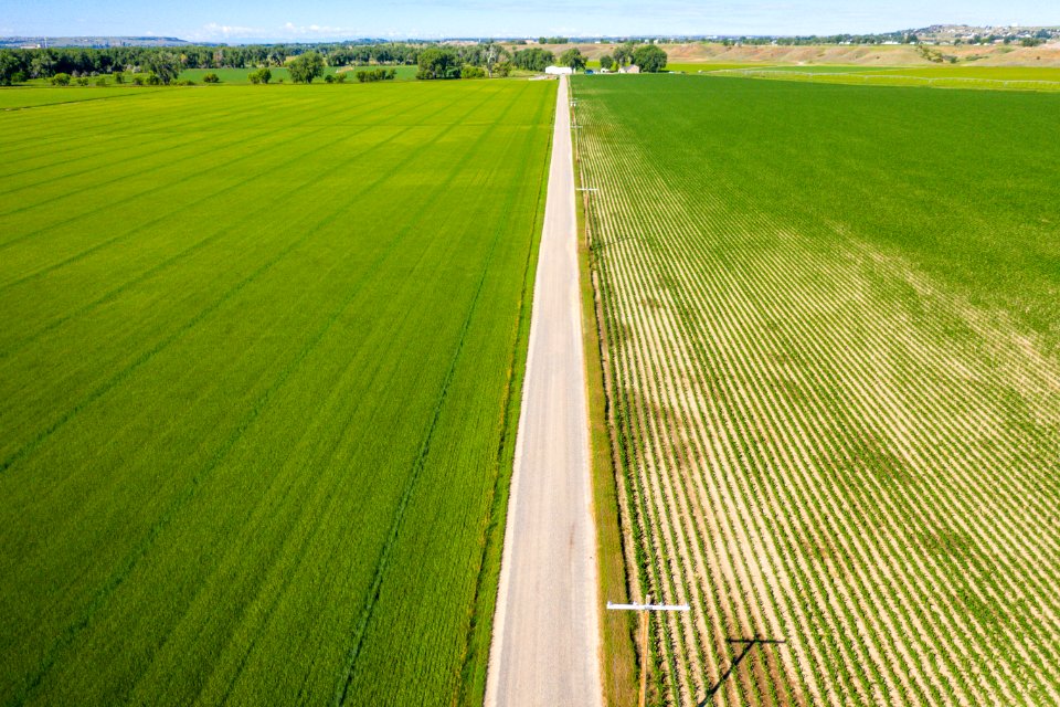 Jgibson Day6 0035 DJI 0734