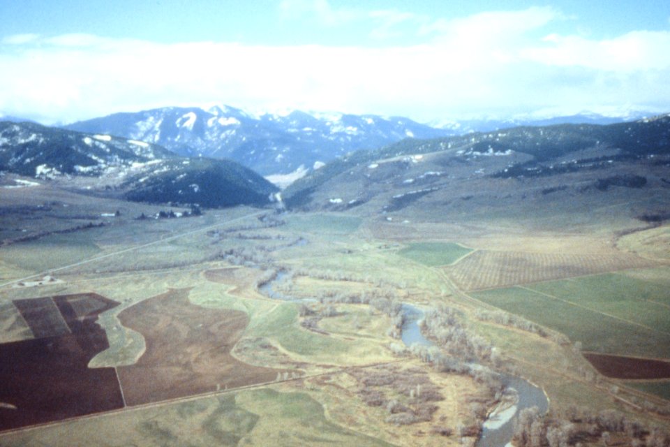Riparian95.tif