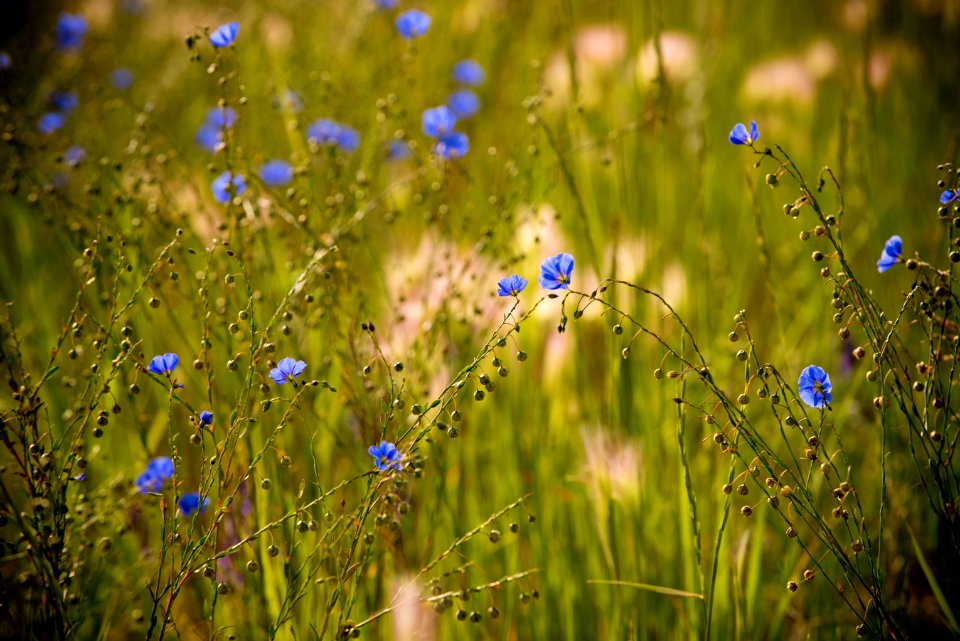 4936 NRCS projects