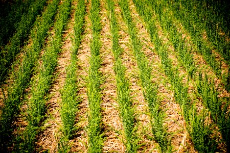 4580 NRCS projects