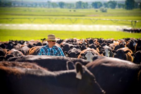 1236 NRCS projects